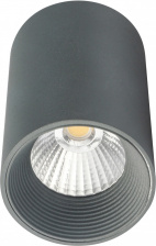 Точечный светильник 20003 20003SMU/01LED SGY