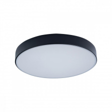Потолочный светильник Axel 10002/24 Black