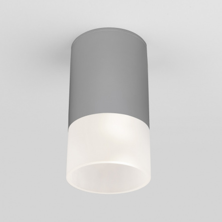 Потолочный светильник уличный Light LED 35139/H серый фото 1