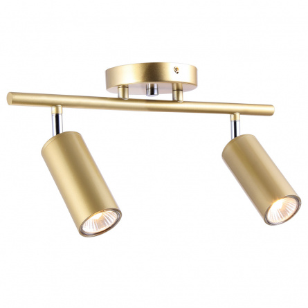Спот Trinity TRINITY 76055/2W GOLD SATIN фото 1