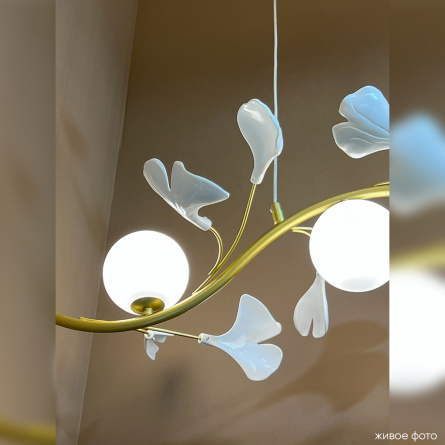 Бра Crystal Lux COLIBRI AP1 GOLD фото 25
